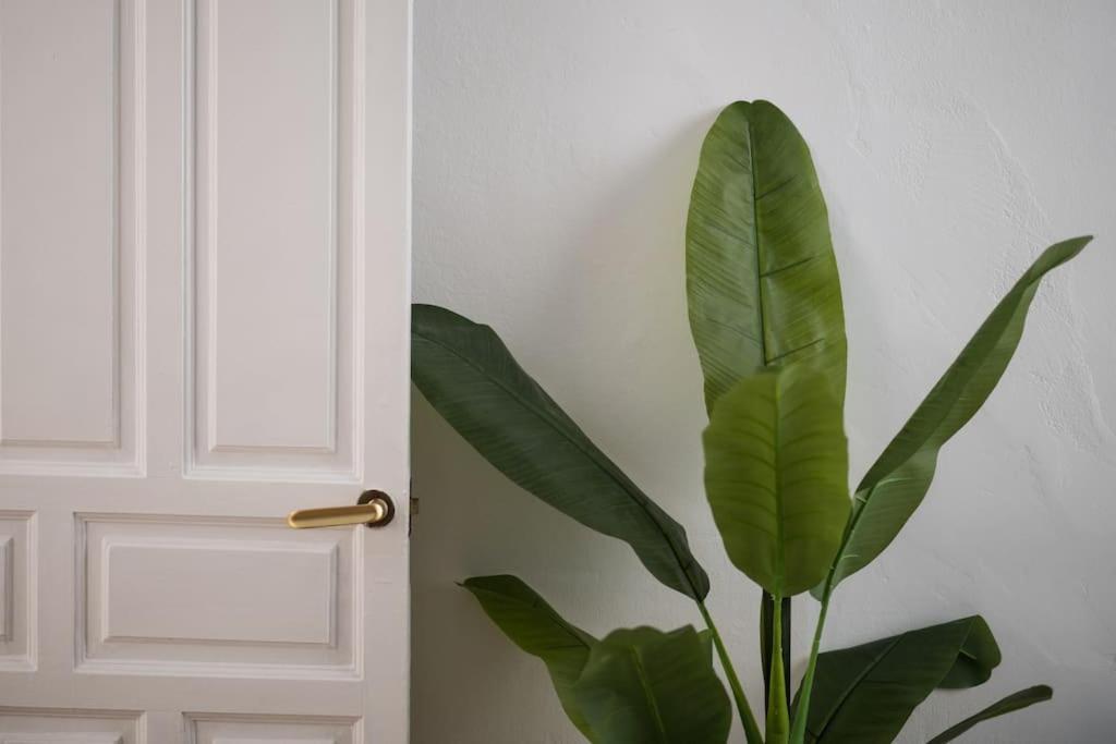 Apartamento Mosaic Giralda *